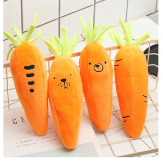 hộp bút cà rốt