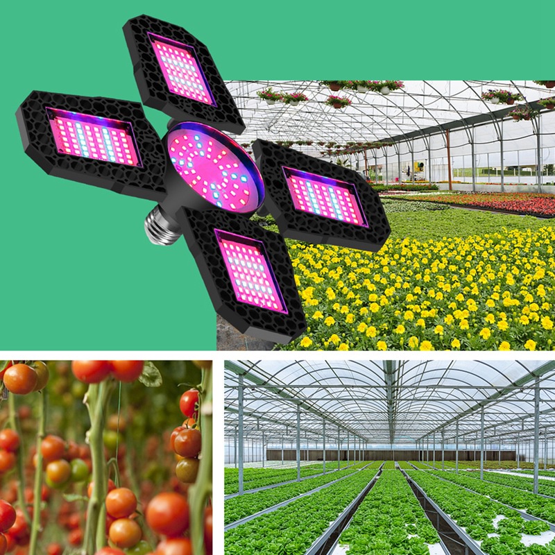 100W LED Grow Light E27 LED Panel Lamp for Plant