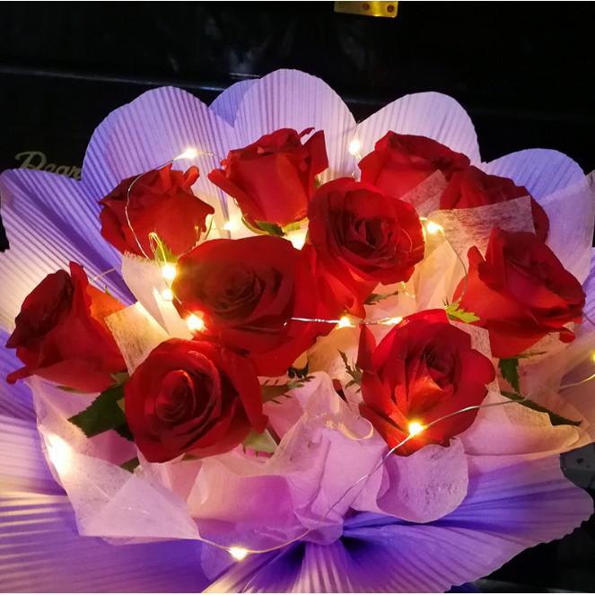 Dây đèn trang trí xinh xắn 2m