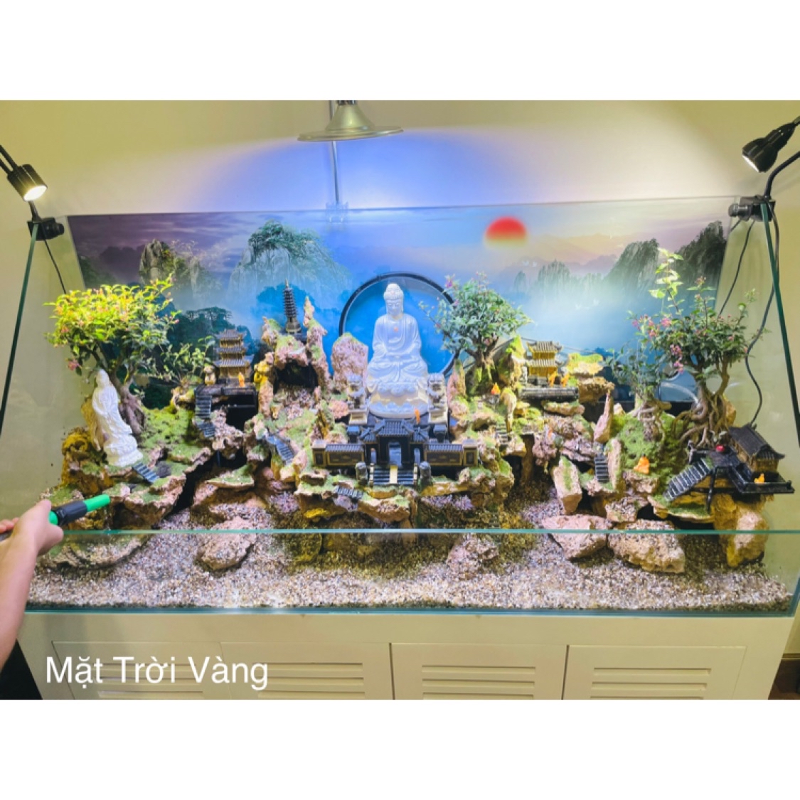 Aqua Mặt Trời Vàng