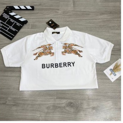 Áo thun nam BBR polo đẹp có cổ tay ngắn 2 màu giá rẻ cao cấp tara_shop96