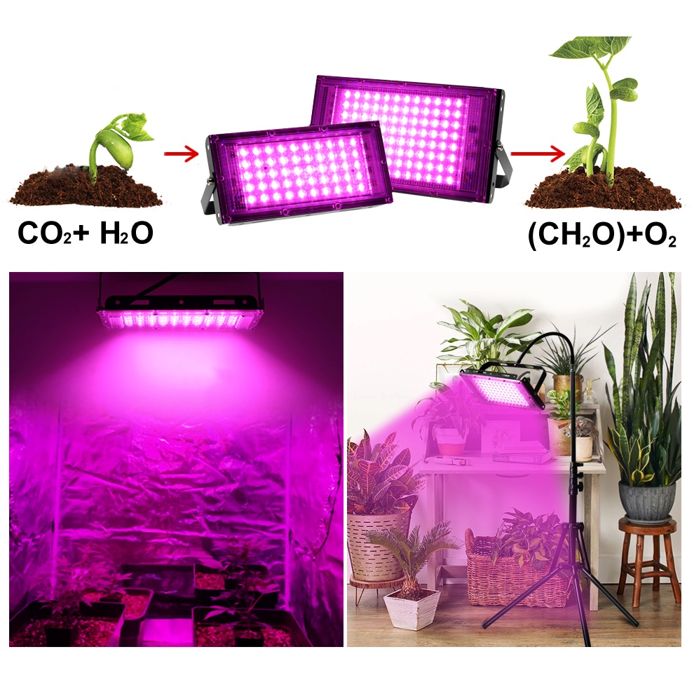 Đèn LED Trồng Cây 220V Có Công Tắc On/Off Cho Nhà Kính