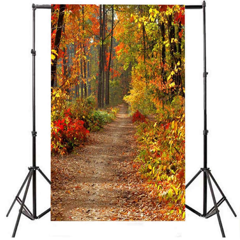 Backdrop trang trí hình khu rừng mùa thu chuyên dùng cho studio