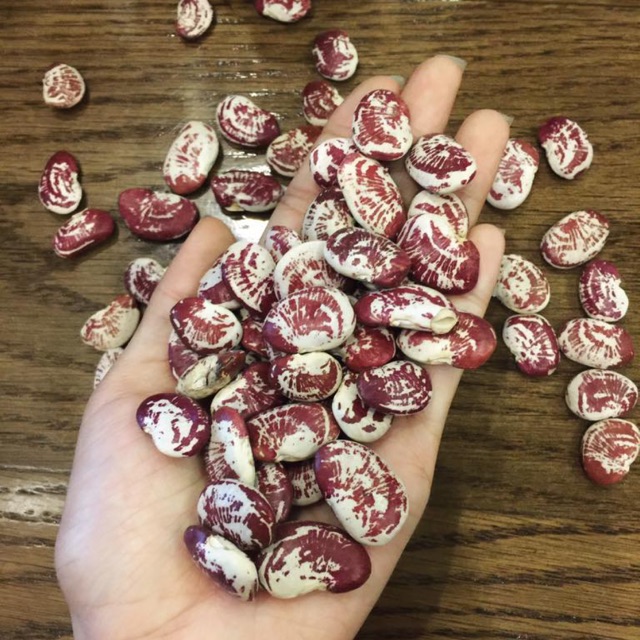 đậu ngự đà lạt 1kg