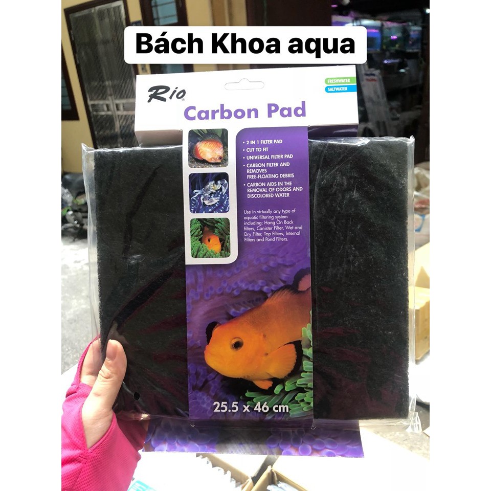 Bộ lọc Rio Carbon Pad