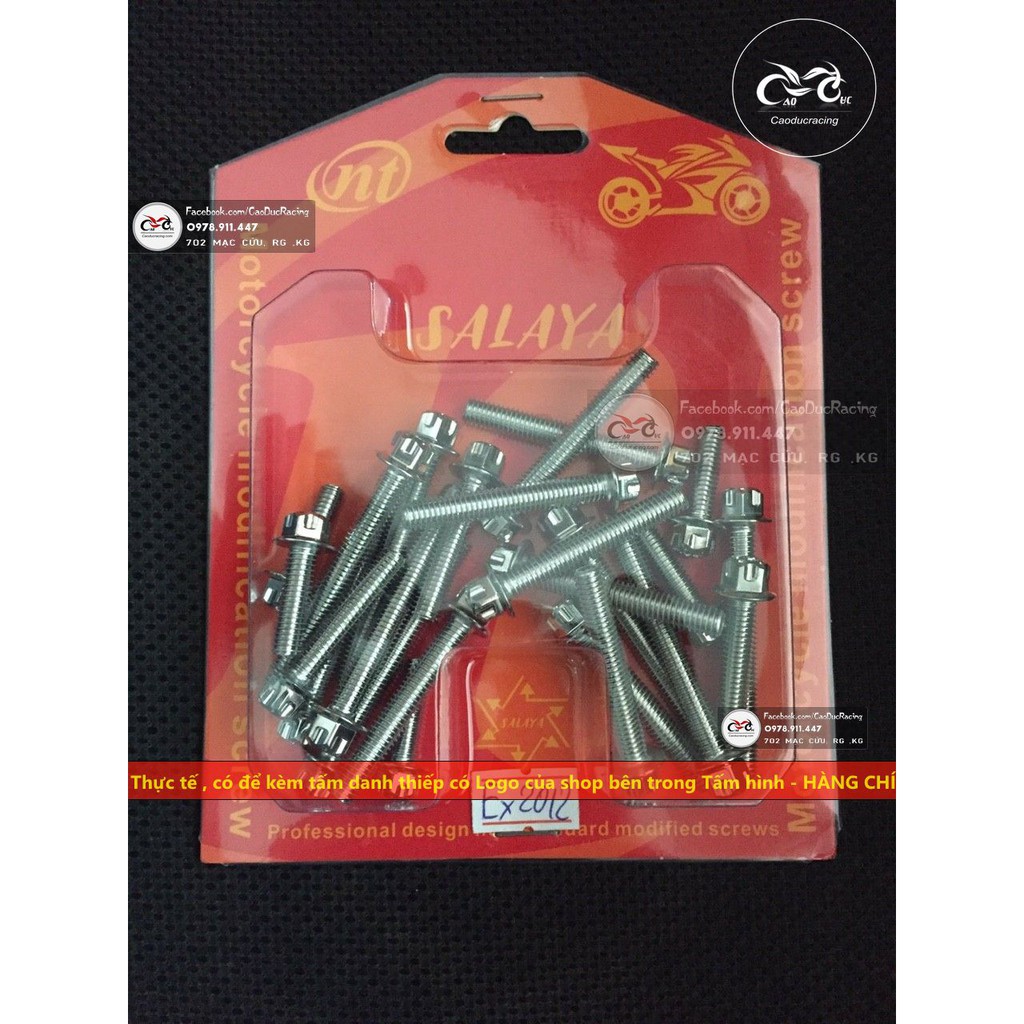 Bộ ốc lốc máy salaya EX150 EX135 WINNER SI DREAM