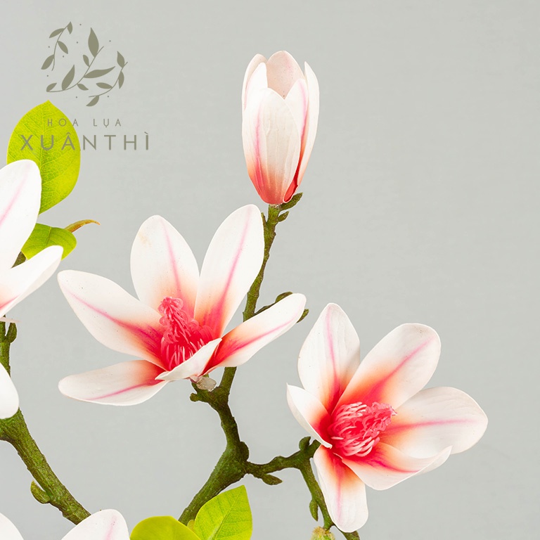 Hoa giả hoa lụa Xuân Thì - Hoa mộc lan decor trang trí màu hồng, trắng, xanh biển - HL01