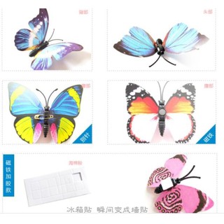 bướm 3D trang trí phòng