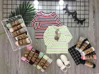 Combo sỉ áo thun kẻ sọc