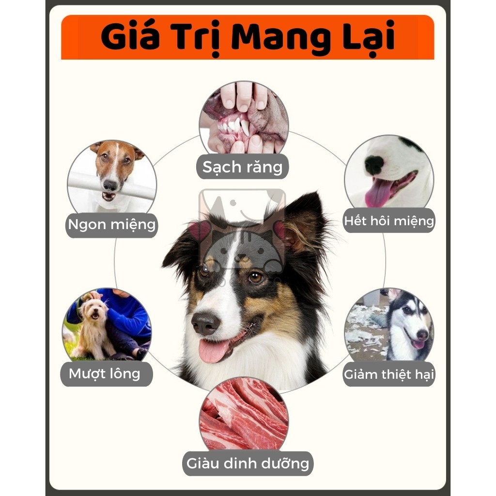 Xương Gặm Sạch Răng Orgo Thơm Miệng Cho Chó - An Toàn Vệ Sinh Loại Bỏ Vi Khuẩn Có Hại - Đảo Chó Mèo