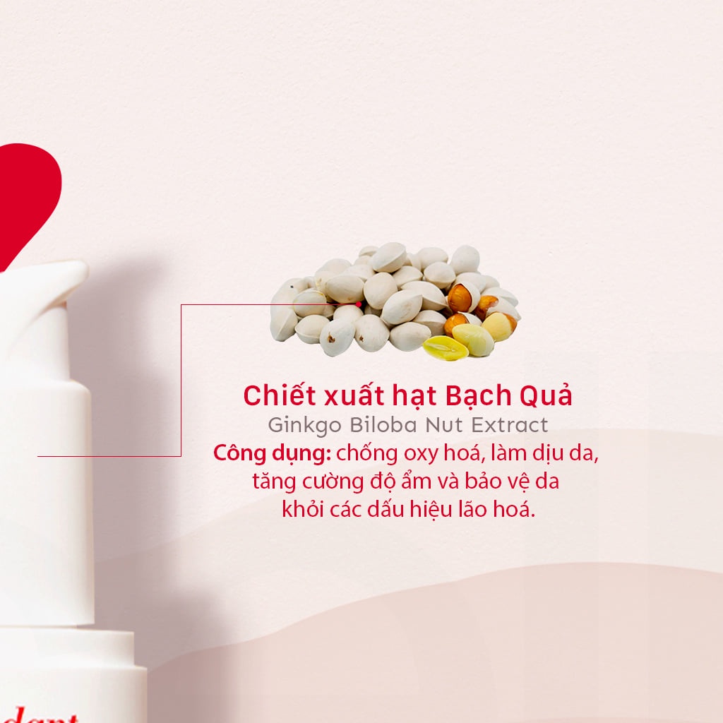 Kem Dưỡng Ẩm, Chống Oxy Hóa & Làm Sáng Da oh!oh! Anti oxidant hydrating cream ohoh oh oh