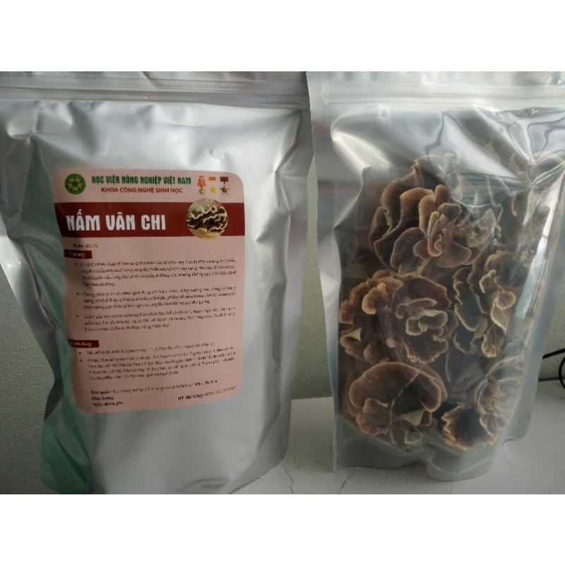Nấm Vân Chi gói 100g - Học viện Nông nghiệp Việt Nam