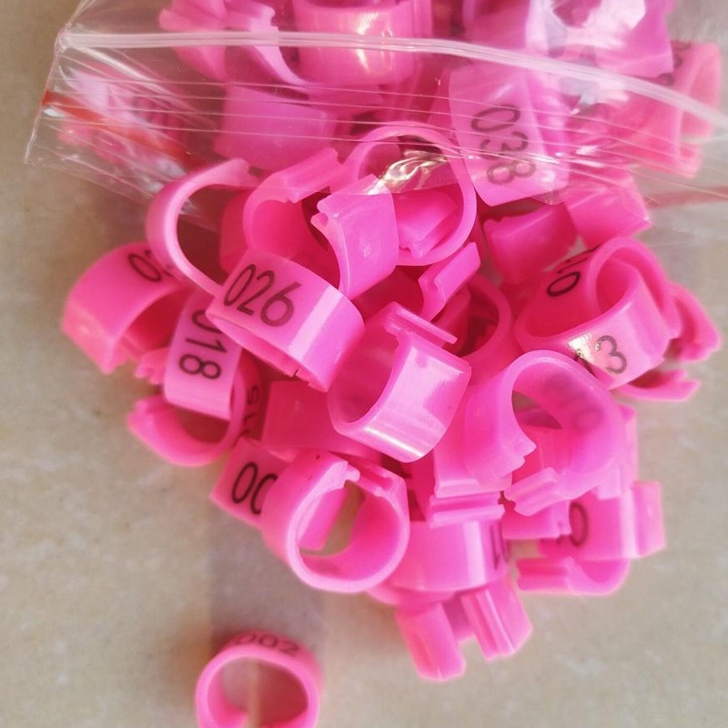 Set 50 Vòng Kẹp Số.001-050 8mm Hình Chim