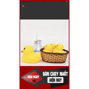[❌GIÁ SỈ❌] ĐỒ CHƠI CHÓ MÈO -VỊT RUBBER CHÍP CHÍP 0 ❤️