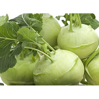 Hạt giống Su hào xanh giàu dinh dưỡng