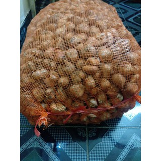 Hành khô hải dương loại 1