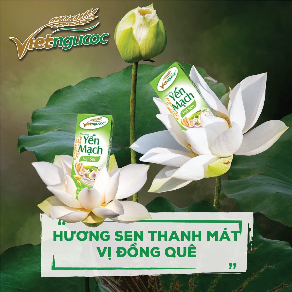 Thùng 40 hộp Yến mạch hạt sen Việt Ngũ Cốc - 180ml/hộp Chưa Có Đánh Giá