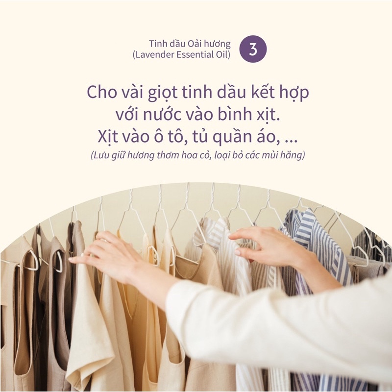 Tinh dầu oải hương 50ml - lavender