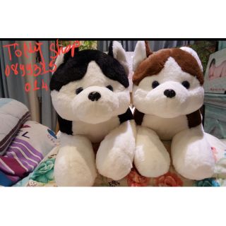Gấu bông hình Chó husky