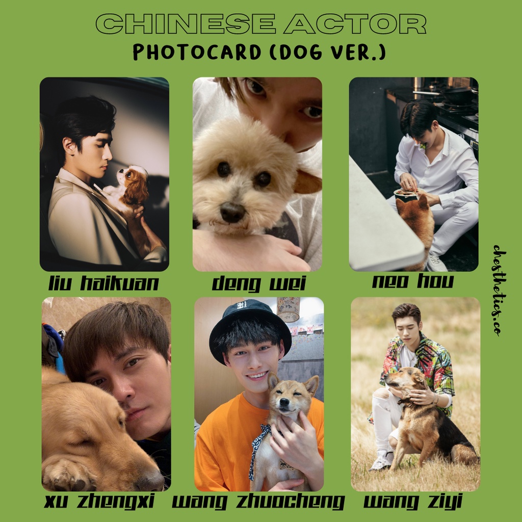 [ CHINA ACTOR ] Ảnh Card Bo Góc Diễn Viên Nam Trung Quốc - Chủ Đề Chụp Ảnh Cùng Cún [ PHOTOCARD ]