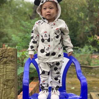 Conbo thuỳ dương