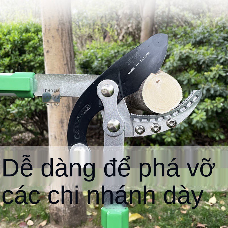 Kéo cắt cành dày nhập khẩu Nhật Bản, cành, cây ăn quả, tiết kiệm nhân công, cao, mạnh mẽ