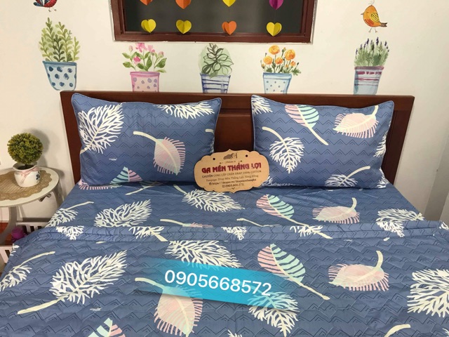 Bộ ga gối 100% coton 4 món không kèm mền nhiều size mã lá sương xám xanh.