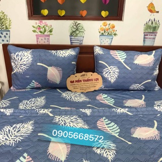 Bộ ga gối Thắng Lợi 4 món không kèm mền nhiều size