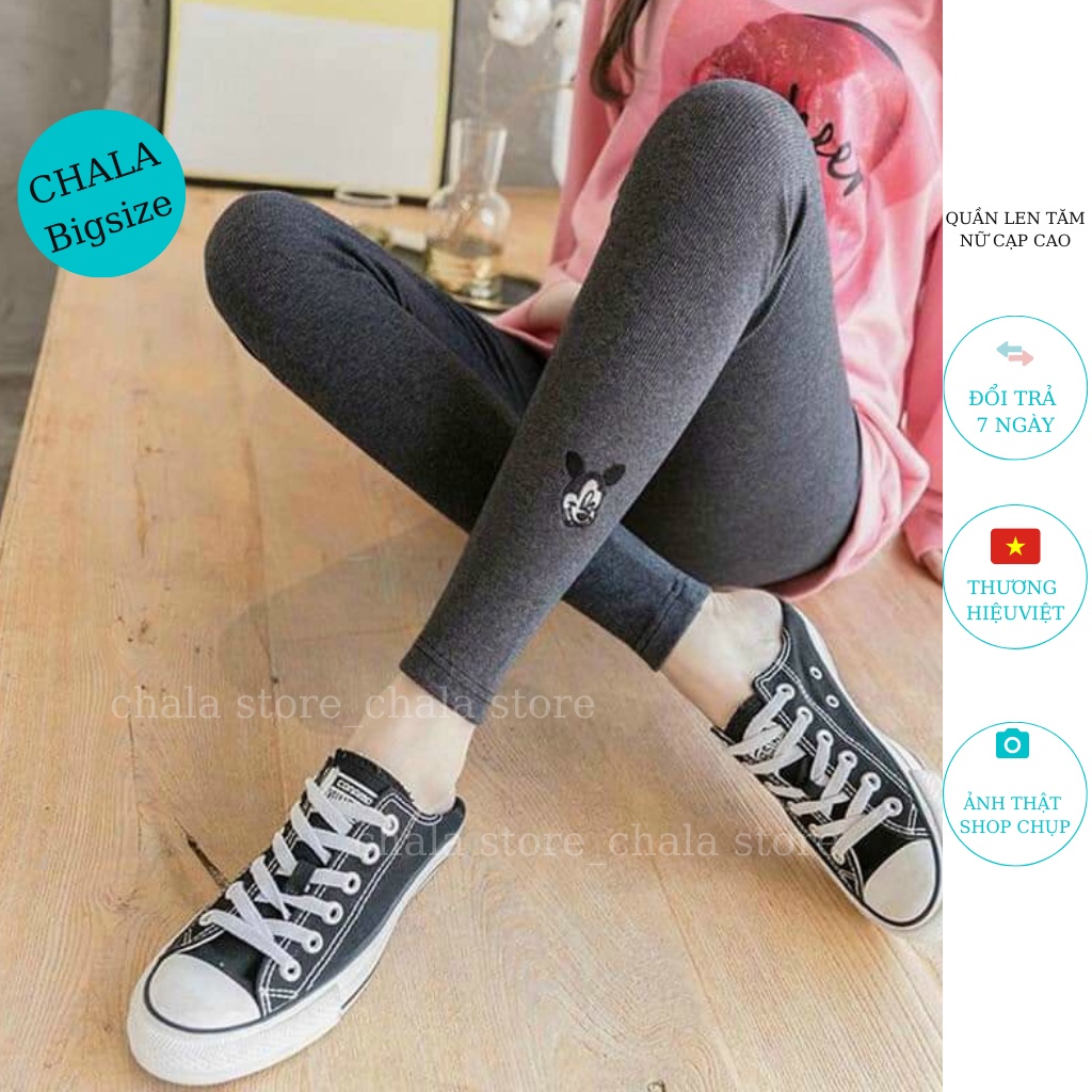 Quần Len Tăm Nữ Cạp Cao Chala, Quần Legging Nữ Dài Lưng Chun Hình Micky