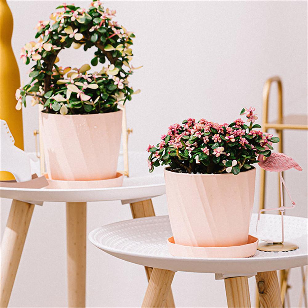 Chậu Hoa Trang Trí Nhà Cửa / Văn Phòng Xinh Xắn