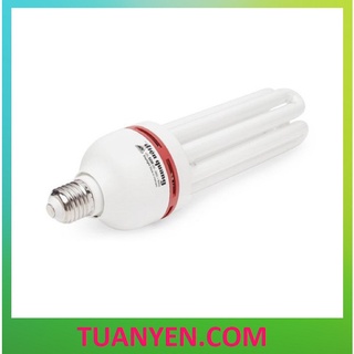 Đèn Compact Điện Quang 4U - 45W, 50W, 55W hàng chính hãng