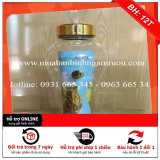 Combo 2 Bình ngâm sâm Việt Nam cao cấp 1 lít - Bình thủy tinh 1 lít - Cây Thuốc Nam Thanh Bình