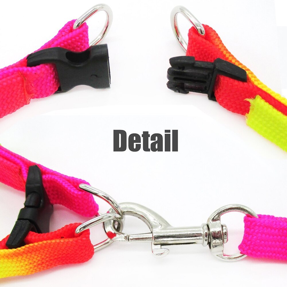 Dây dắt thú cưng bằng nylon màu cầu vồng chỉnh được tiện lợi cho thú cưng
