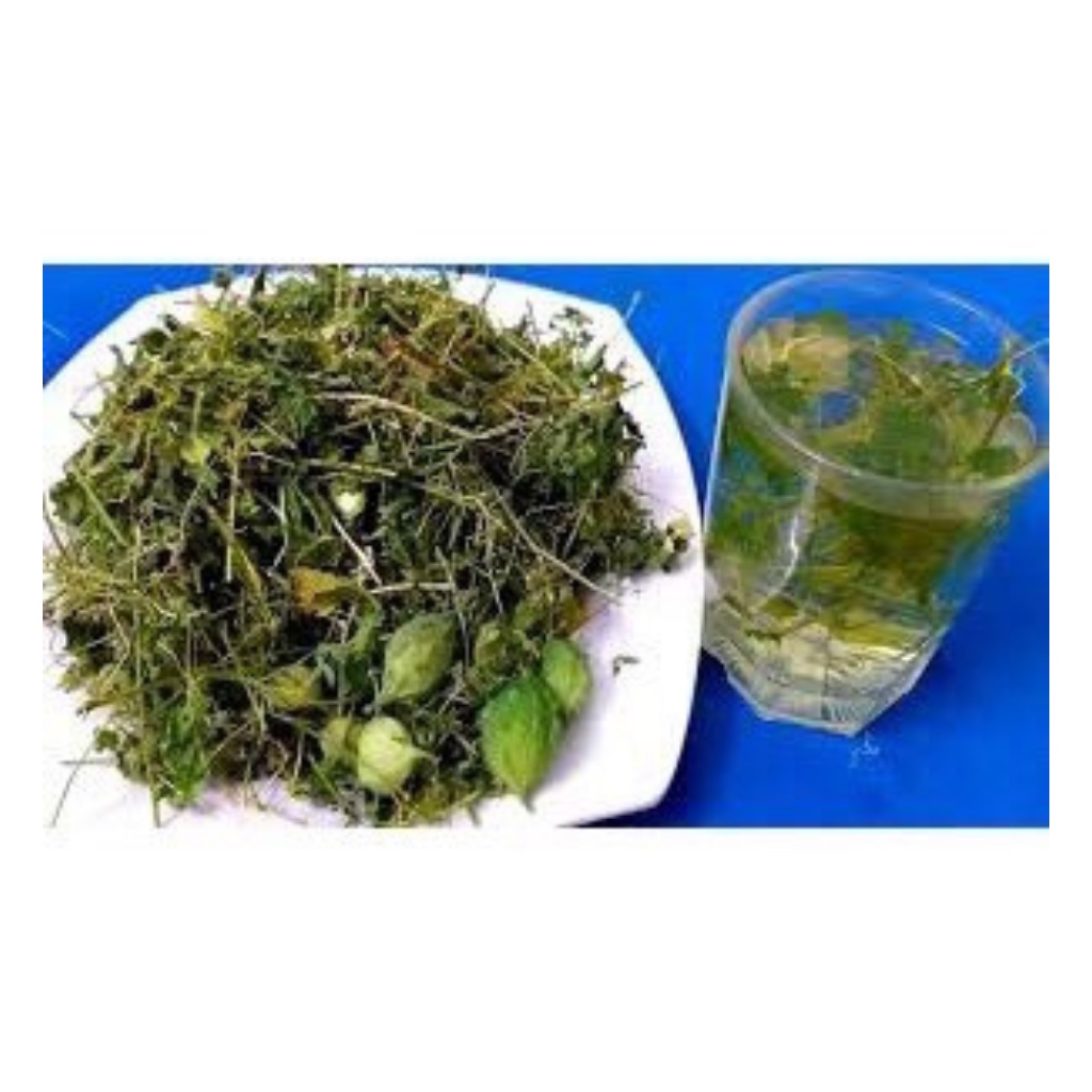Dây Khổ Qua ( Mướp Đắng ) Rừng Hàng Mới Chất Lượng Hỗ Trợ Tiểu Đường, Gout Túi 1Kg | BigBuy360 - bigbuy360.vn