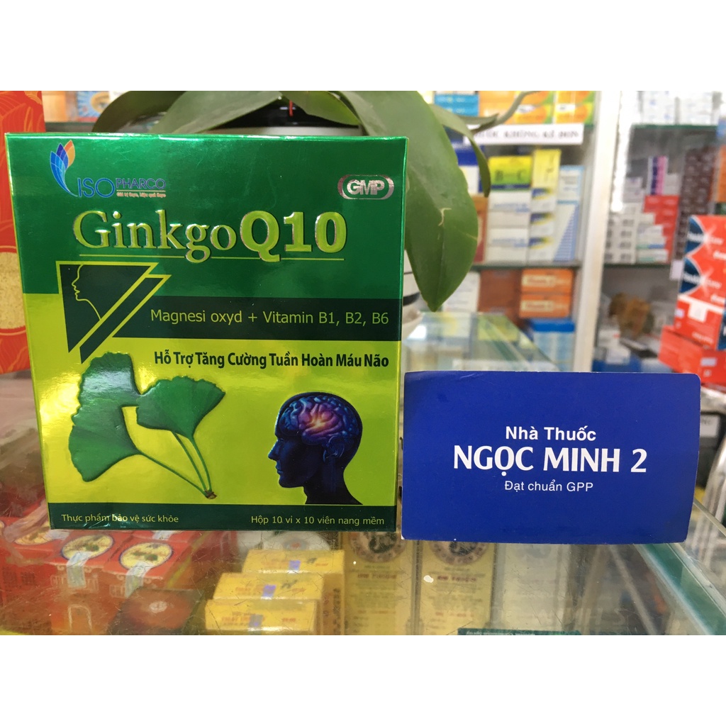 ✅ [Chính Hãng] Ginkgo Q10 hỗ trợ tăng cường tuần hoàn máu não