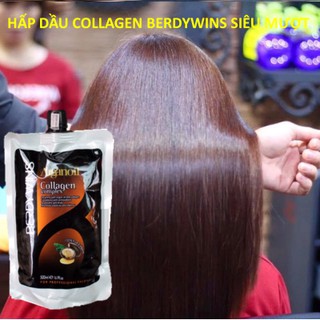 HẤP DẦU SIÊU MƯỢT COLLAGEN BERDYWINS ARGANOIL COMPLEX 500ML