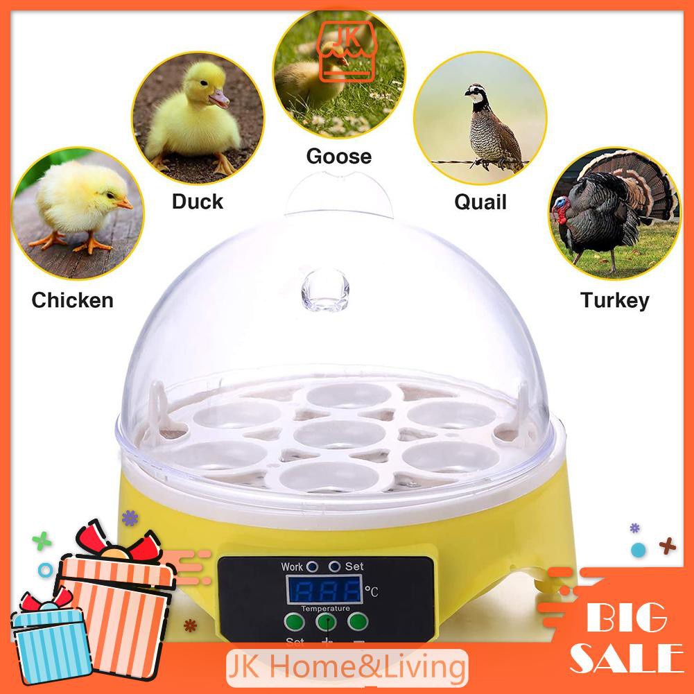 *7 Eggs Chicken Bird Incubator Eggs Hatching Automatic Intelligent Brooder