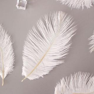 Trang trí sợi lông vũ trắng