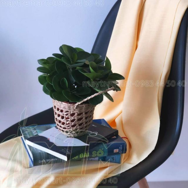 Giỏ cói quai xách, giỏ trồng cây