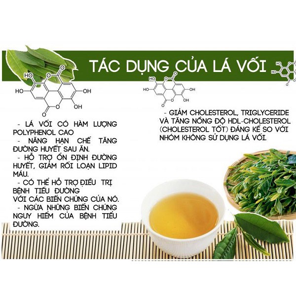 Lá Vối Khô Hàng Loại 1 Thanh Nhiệt, Lợi Tiểu, Đào Thải Độc Tố 1KG | BigBuy360 - bigbuy360.vn