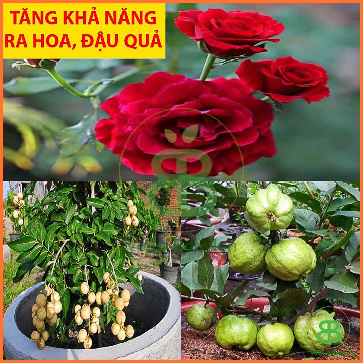 Phân Bón Lân Lâm Thao 500G Cho Mọi Cây Trồng