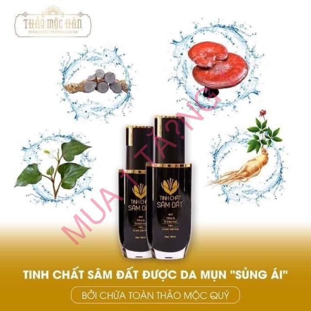 Tinh Chất Sâm Đất - Thảo Mộc Hàn