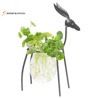 Set kệ sắt hình nai và bình hoa thủy tinh trồng cây thủy canh