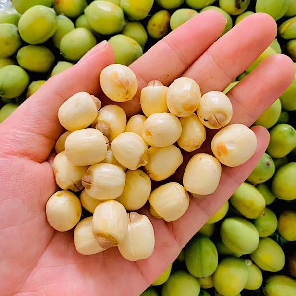 500g Hạt Sen Khô Huế hút chân không bảo quản ,Hàng Loại 1