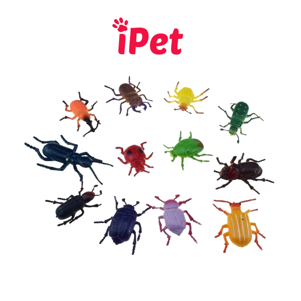 Đồ Chơi Côn Trùng Cao Su Cho Mèo Vớn Bắt - iPet Shop