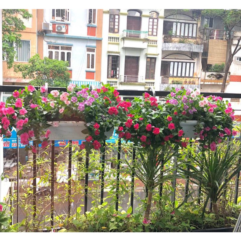 Móc Treo Chậu Trồng Hoa, Rau Hoặc Chậu Nhựa Dài - Thông Minh Bền Đẹp - Chưa Bao Gồm Chậu