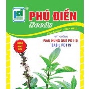 hạt giống Rau húng quế