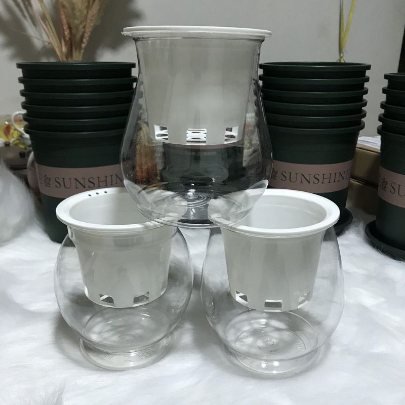 Chậu Nhựa trồng cây Thủy Sinh_thủy canh_bình nhựa trồng cây thủy sinh_lọ trồng cây
