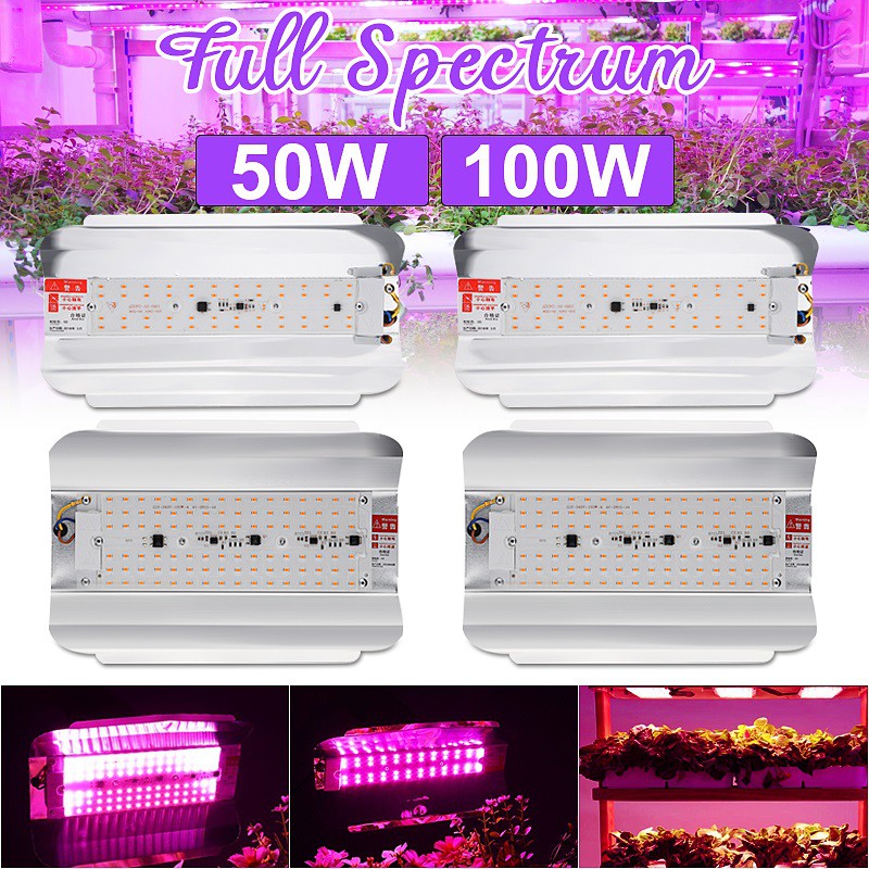 Đèn quang phổ nuôi cây 220V 50W 100W chất lượng cao