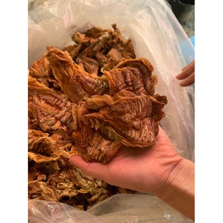 măng nứa rừng